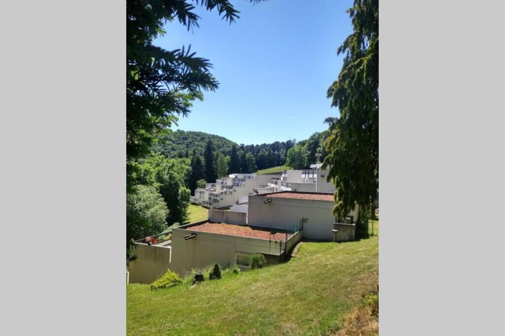 Studio Au Coeur Des Volcans D Auvergne - Мюроль Екстер'єр фото