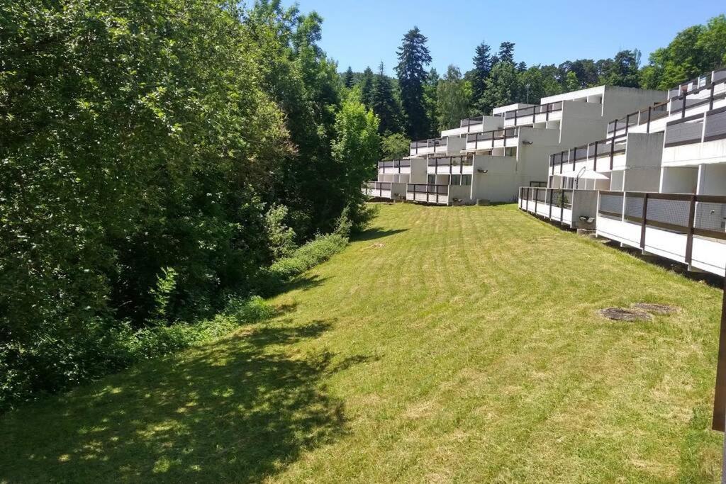 Studio Au Coeur Des Volcans D Auvergne - Мюроль Екстер'єр фото