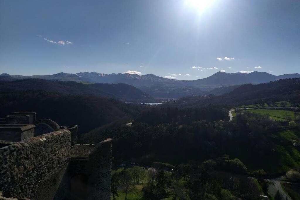 Studio Au Coeur Des Volcans D Auvergne - Мюроль Екстер'єр фото