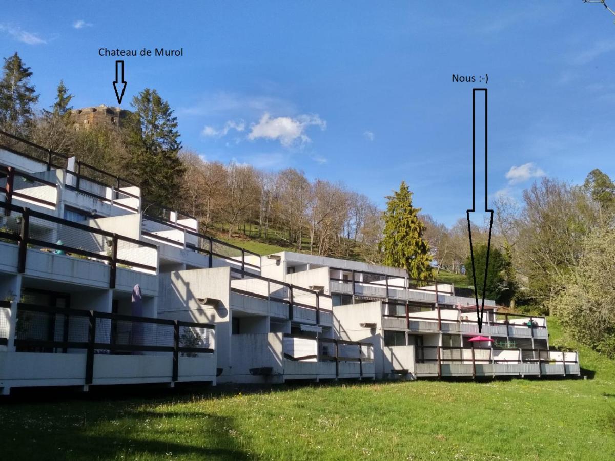 Studio Au Coeur Des Volcans D Auvergne - Мюроль Екстер'єр фото
