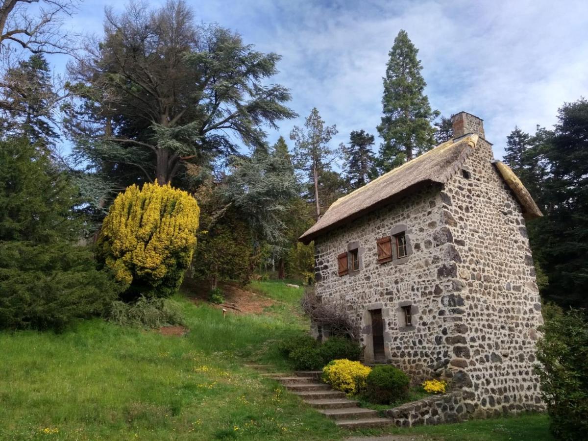 Studio Au Coeur Des Volcans D Auvergne - Мюроль Екстер'єр фото